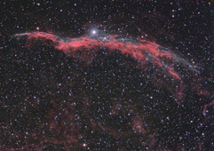 Western Veil