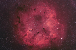 The Cygnus Loop