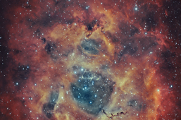 Rosette Nebula