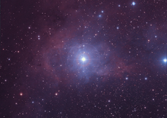 vdb0015
