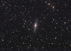 NGC 7331