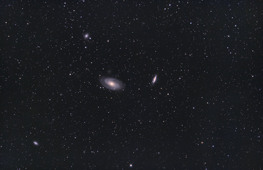 M81