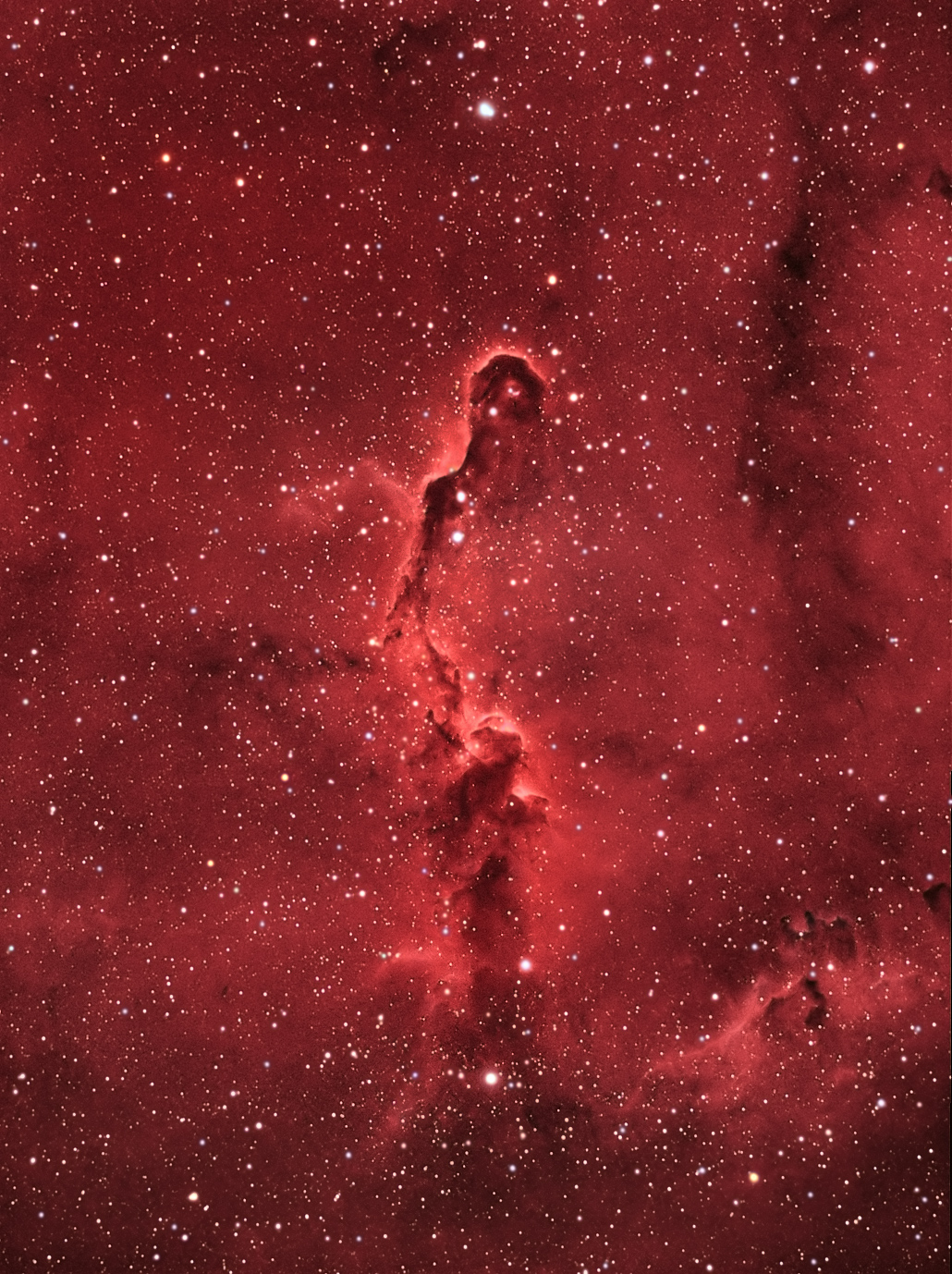 Elephant Trunk Nebula
