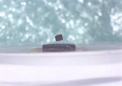 Superconductivity